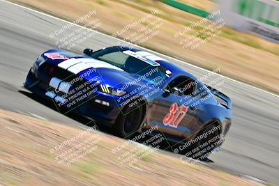 media/May-10-2025-Cobra Club (Sat) [[7b9c5022b1]]/Passenger/